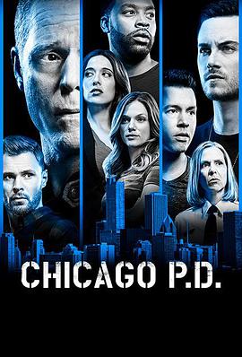 芝加哥警署第六季(歐美劇)