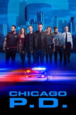 芝加哥警署第七季(歐美劇)
