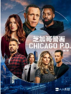 芝加哥警署第八季(歐美劇)