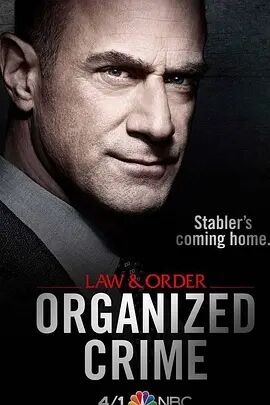 法律與秩序：組織犯罪第一季(歐美劇)