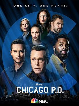 芝加哥警署第九季(歐美劇)